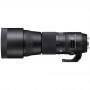 Sigma | 150-600mm F5.0-6.3 DG OS HSM | Nikon [CONTEMPORARY] - 11